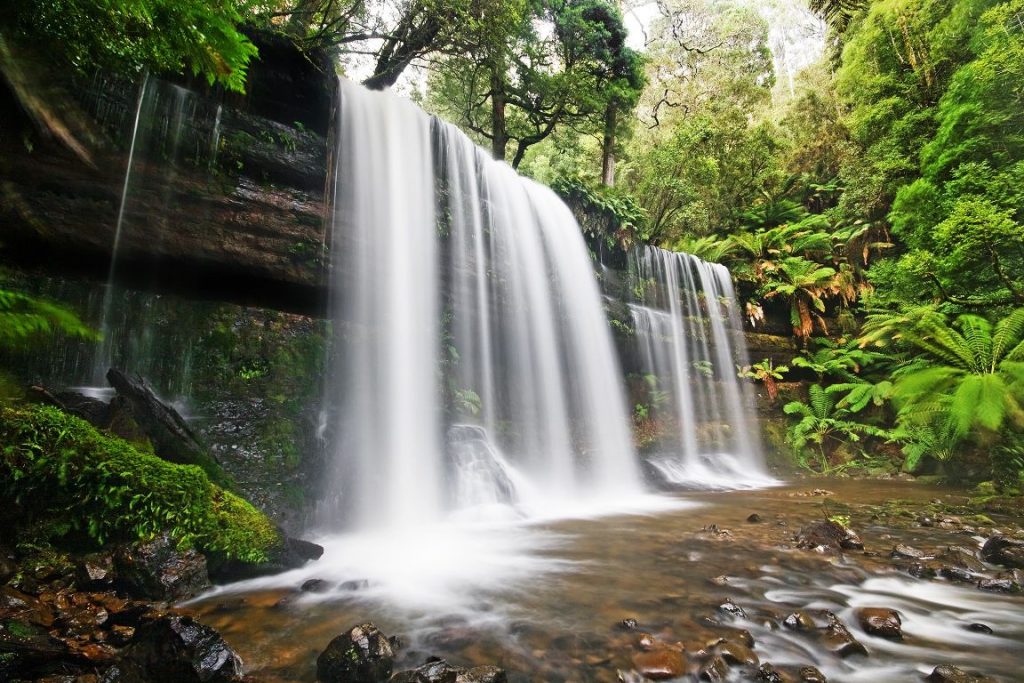 Russell Falls located in the rainforest of tasmania