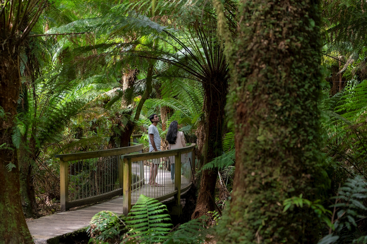 Great Ocean Road to Grampians 3 Day - Work and Travel Guide