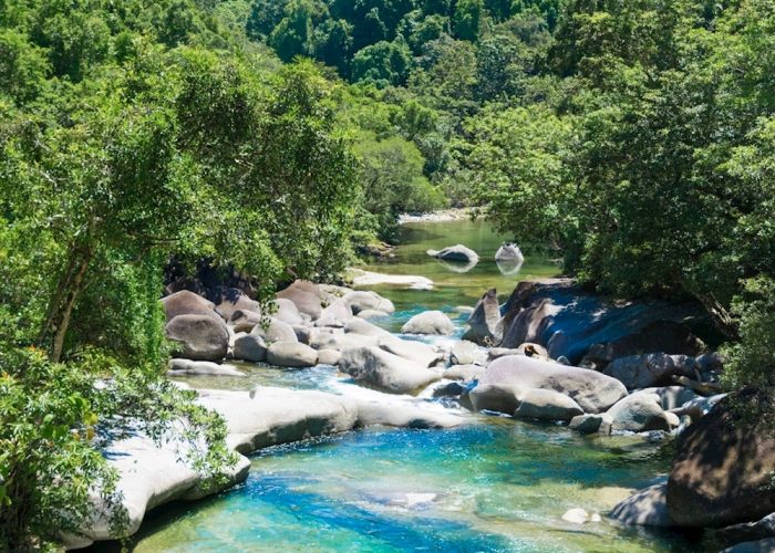 Aboriginal Cassowary Adventure Tour