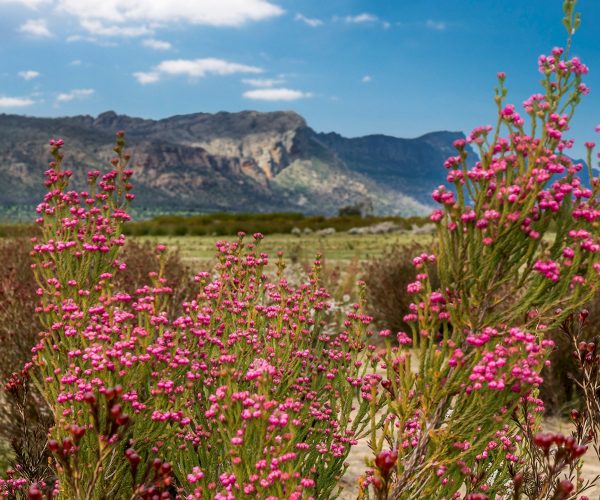 Grampians Eco Wilderness Escape-10