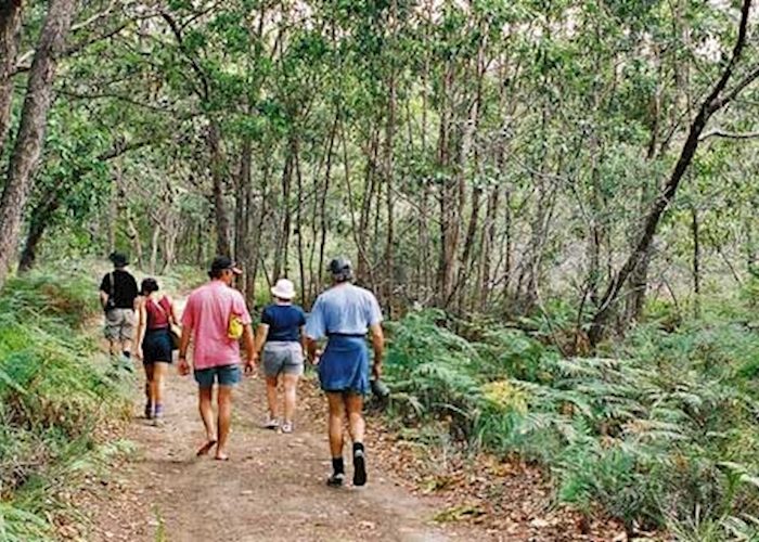 North Stradbroke Island Day 4WD Tour