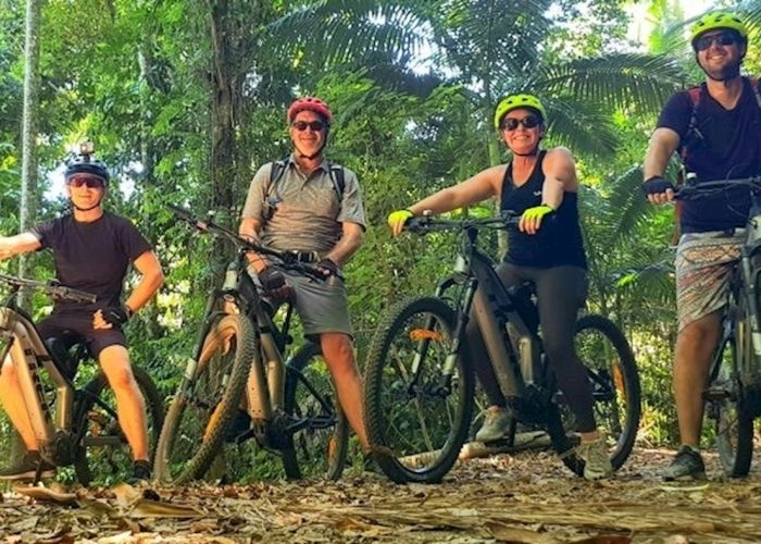 Ancient Rainforest Trail (Medium or Large Bike)