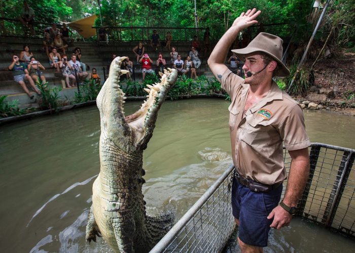 Kuranda, Skyrail, Hartley’s Crocodile Adventures