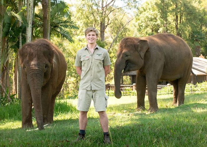 Australia Zoo Entry & Wildlife Hospital Tour