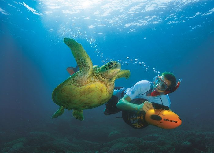 Tangalooma Wrecks Adventure Tour